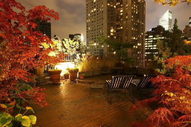 Outeriors: NYC Sutton Place Rooftop Terrace With Skyline Views